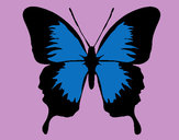 Dibujo Mariposa con alas negras pintado por ana2705