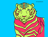 Dibujo Tigre 3 pintado por cleo12