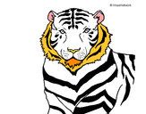 Dibujo Tigre 3 pintado por koski