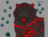 Dibujo Tigre 3 pintado por NICKMANE