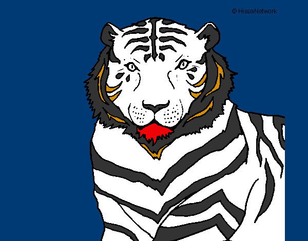 Dibujo Tigre 3 pintado por norailys 