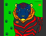 Dibujo Tigre 3 pintado por titoni
