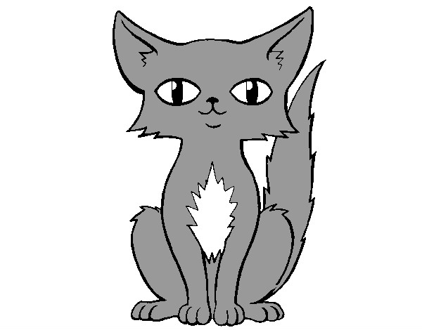 Dibujo de Gato Persa Sentado pintado por Nikaty en  el día  16-02-13 a las 08:19:29. Imprime, pinta o colorea tus propios dibujos!
