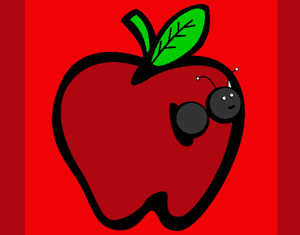 manzana