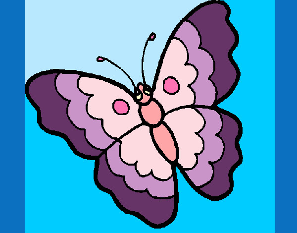 Mariposa 13