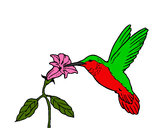 Dibujo Colibrí y una flor pintado por lamumi123