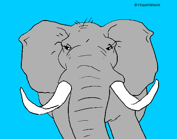 Dibujo Elefante africano pintado por goku4