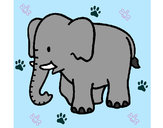 Dibujo Elefante bebe pintado por Jaqee
