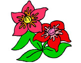 Dibujo Flores 3 pintado por kanla
