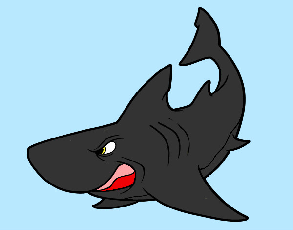 Dibujo Tiburón enfadado pintado por Manuel99