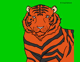 Dibujo Tigre 3 pintado por goku4