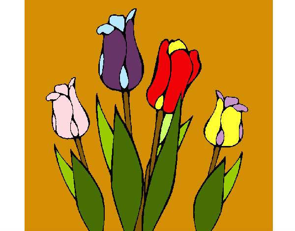 Tulipanes para lamesa