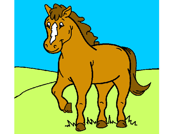 caballo 4