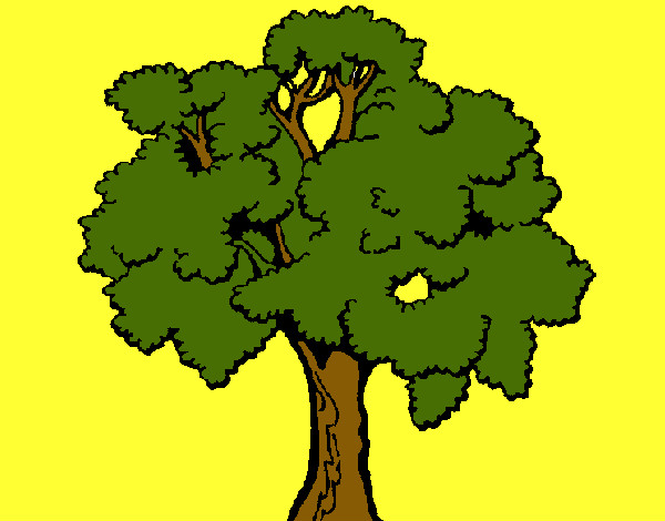 Árbol 1