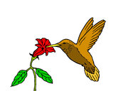 Dibujo Colibrí y una flor pintado por Andrea2003