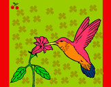 Dibujo Colibrí y una flor pintado por auroro