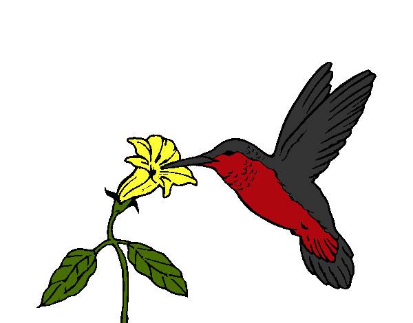 Dibujo Colibrí y una flor pintado por Charini