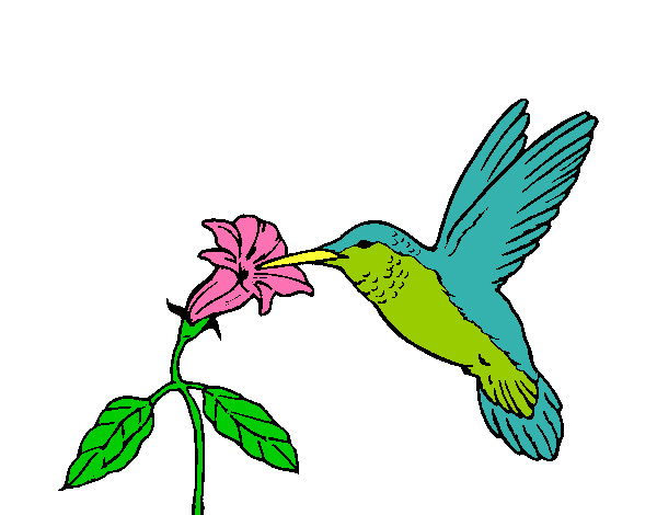 Dibujo Colibrí y una flor pintado por DONAALDO