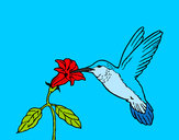 Dibujo Colibrí y una flor pintado por loti