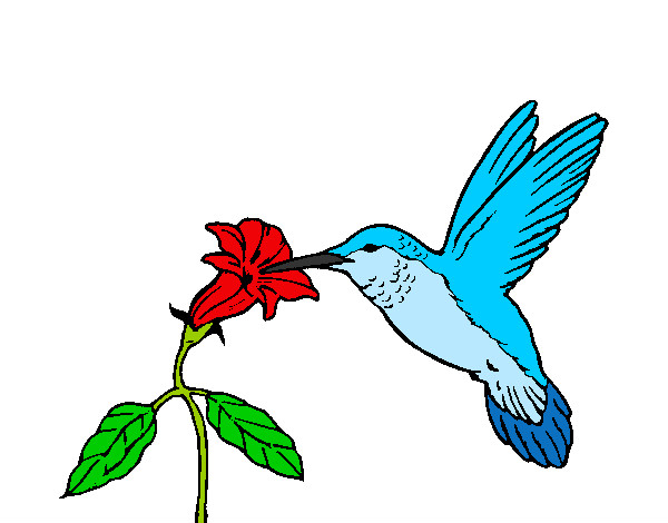 Dibujo Colibrí y una flor pintado por natalia27