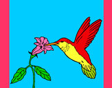 Dibujo Colibrí y una flor pintado por nikoleta