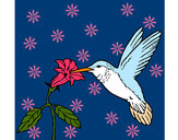 Dibujo Colibrí y una flor pintado por SerNil