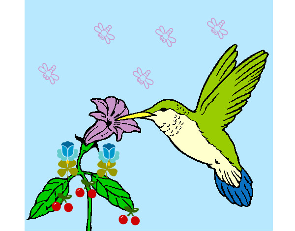 el colibri y su hermosa flor