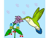 Dibujo Colibrí y una flor pintado por vane366