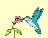 Dibujo Colibrí y una flor pintado por YolyTorres