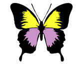 Dibujo Mariposa con alas negras pintado por bonne