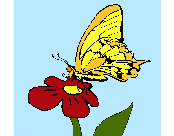 Dibujo Mariposa en flor pintado por guadalupe0
