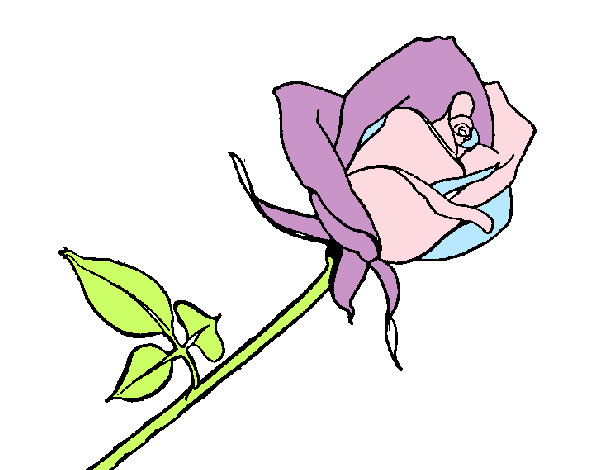 Dibujo Rosa pintado por Esti8