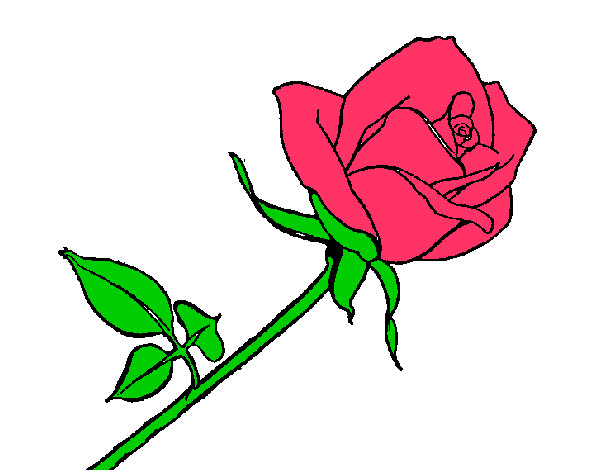 Dibujo de rosa pintado por Nickcris en  el día 04-03-13 a las  00:08:27. Imprime, pinta o colorea tus propios dibujos!