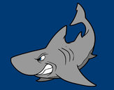 Dibujo Tiburón enfadado pintado por Annuska