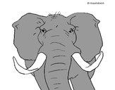 Dibujo Elefante africano pintado por Mjht