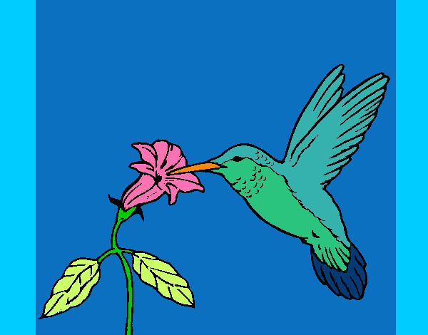 Dibujo Colibrí y una flor pintado por auryn