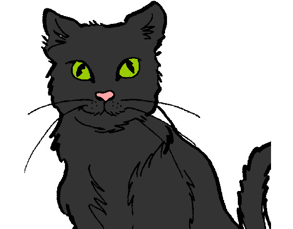 Dibujo Gato pintado por gianfer
