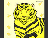 Dibujo Tigre 3 pintado por elizhabet