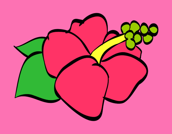 flor hawaiana