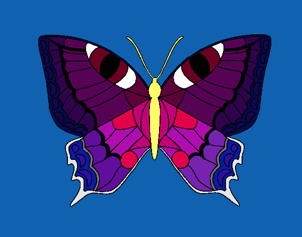Dibujo Mariposa 16 pintado por yuerina