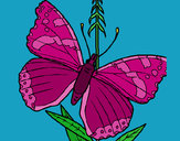 Dibujo Mariposa 5a pintado por yuerina