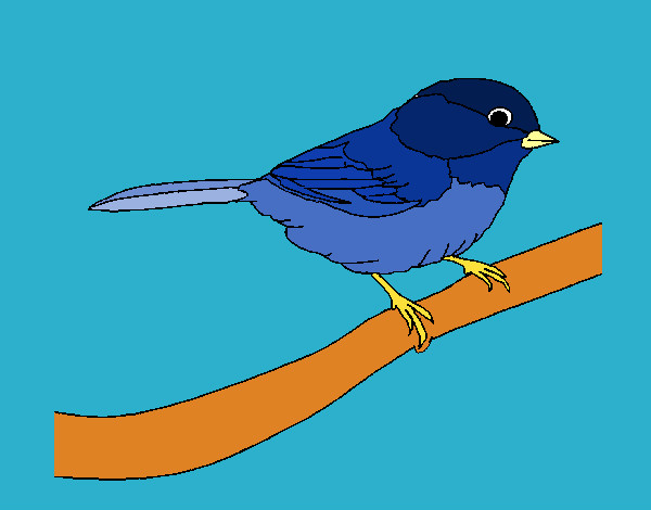 Dibujo Pájarito 1 pintado por yuerina