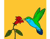 Dibujo Colibrí y una flor pintado por titaperron