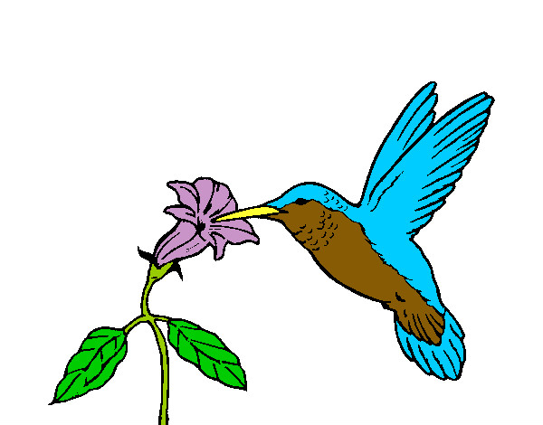 Dibujo Colibrí y una flor pintado por danigm