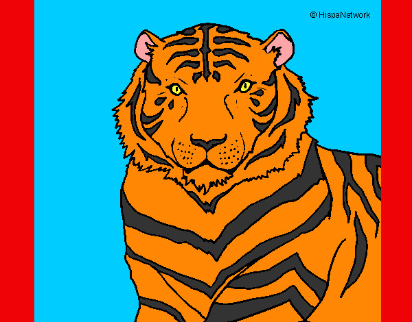 Dibujo Tigre 3 pintado por danigm