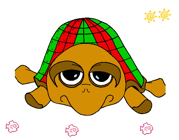 tortuga con sueño