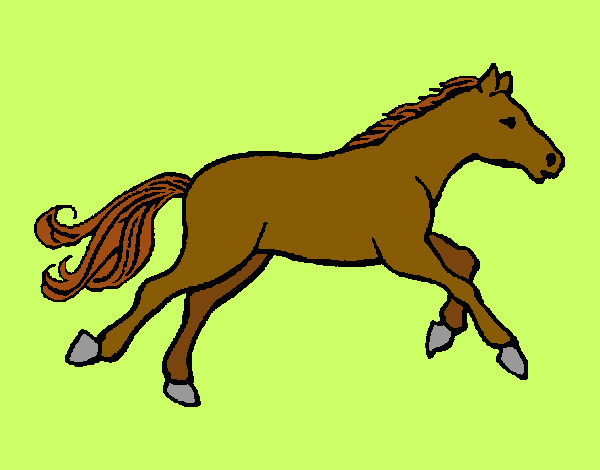 Caballito