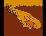 Dibujo Canguro rata pintado por charito