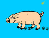 Dibujo Cerdo con pezuñas negras pintado por perrymon