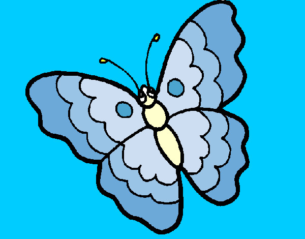 Mariposa 13